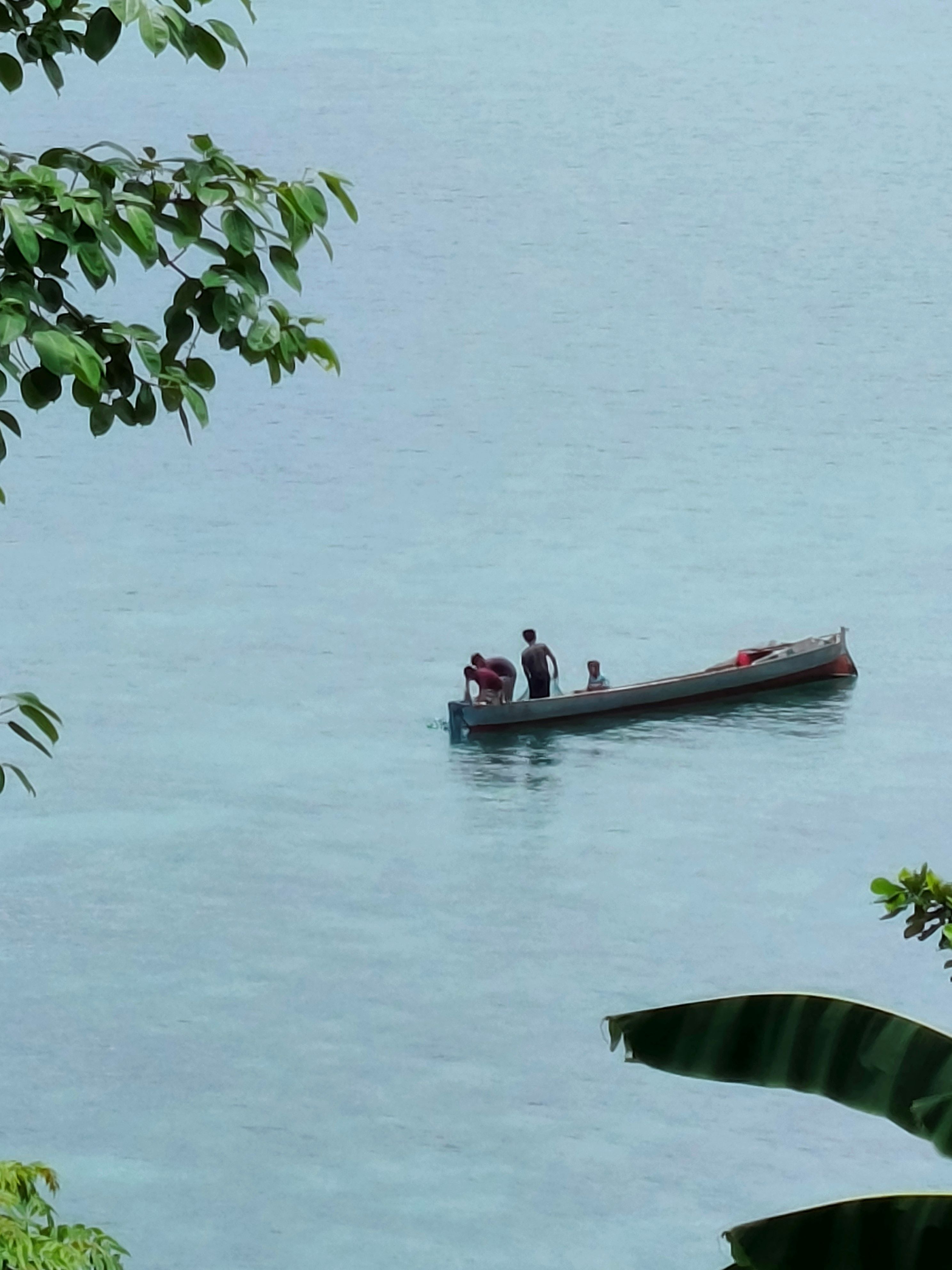 Program Kemitraan Wallacea Lembaga Maritim Nusantara-Burung Indonesia II